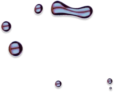 Quantum AI India - अपने मुनाफ़े को अधिकतम करें
आज ही अपना निःशुल्क खाता बनाएं